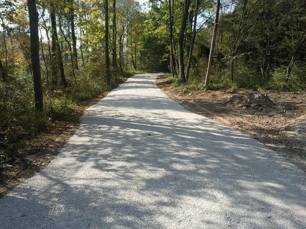 Bschor GmbH: Eine neu asphaltierte Schotterstraße schlängelt sich durch ein Waldgebiet mit Bäumen und Gestrüpp auf beiden Seiten.